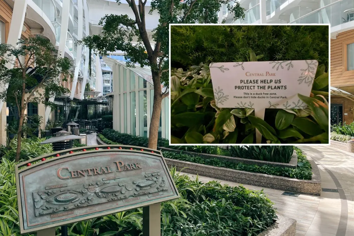 Royal Caribbean Bans Duck Hunts on Onboard Central Park