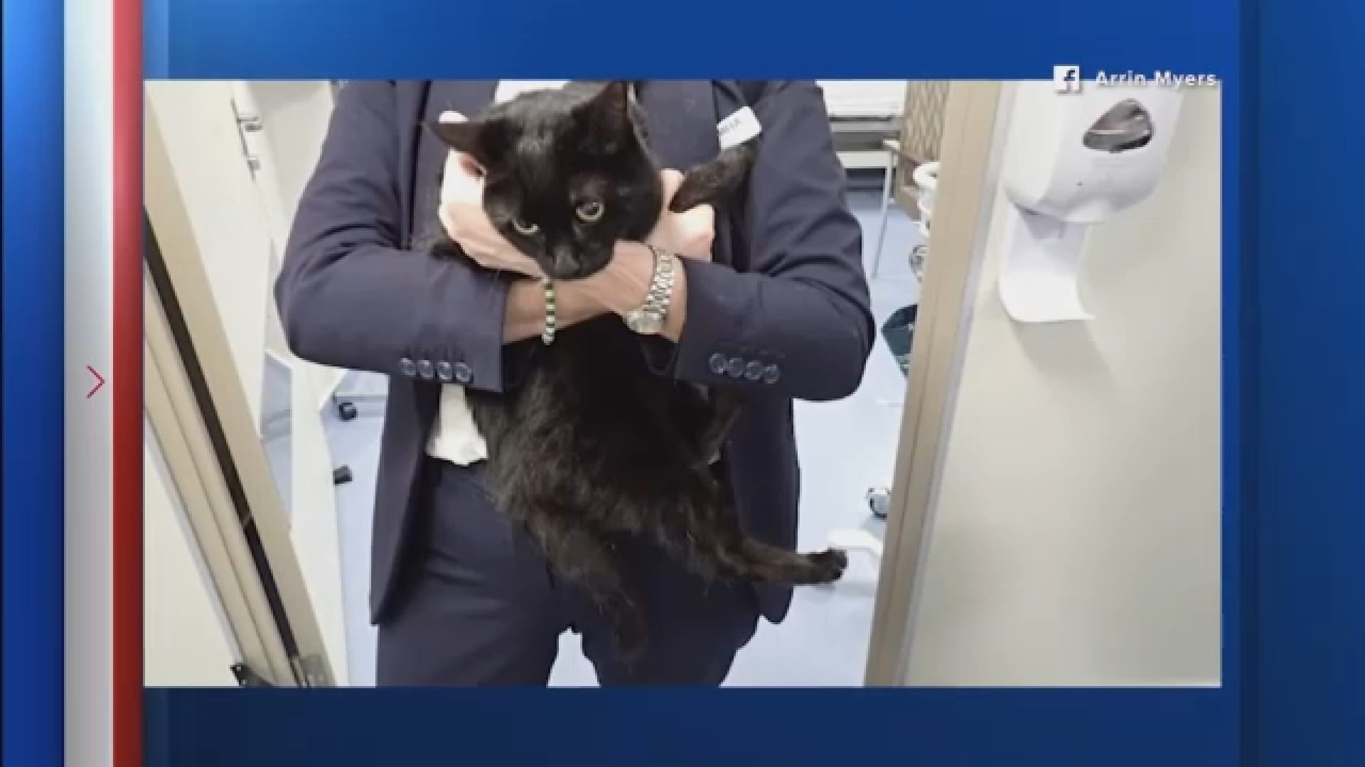 Carnival Legend Rescues Stranded Sailor and His Cat in Gulf of Mexico