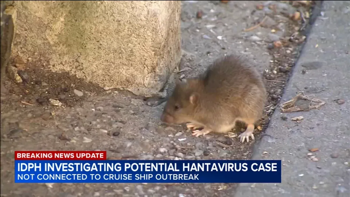 Illinois Probes Potential Hantavirus Case Tied to Rodent Droppings