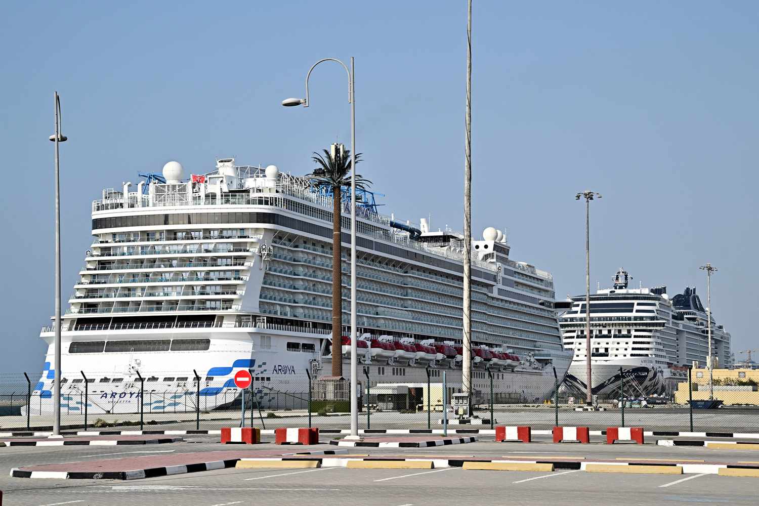 Iran Reopens Strait of Hormuz, Clearing Way for Stranded Cruise Ships