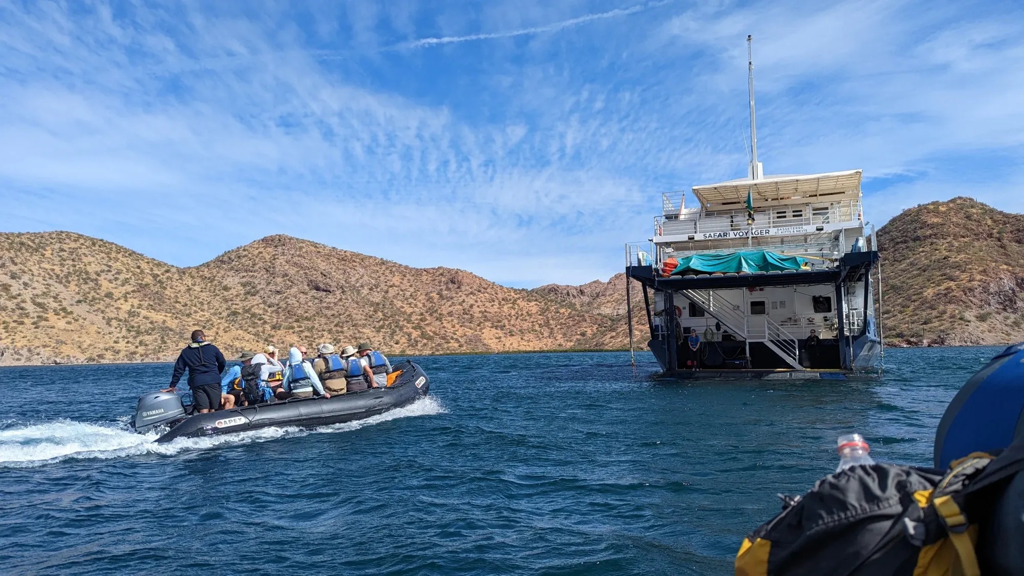 UnCruise Plans Six Baja Expeditions From La Paz