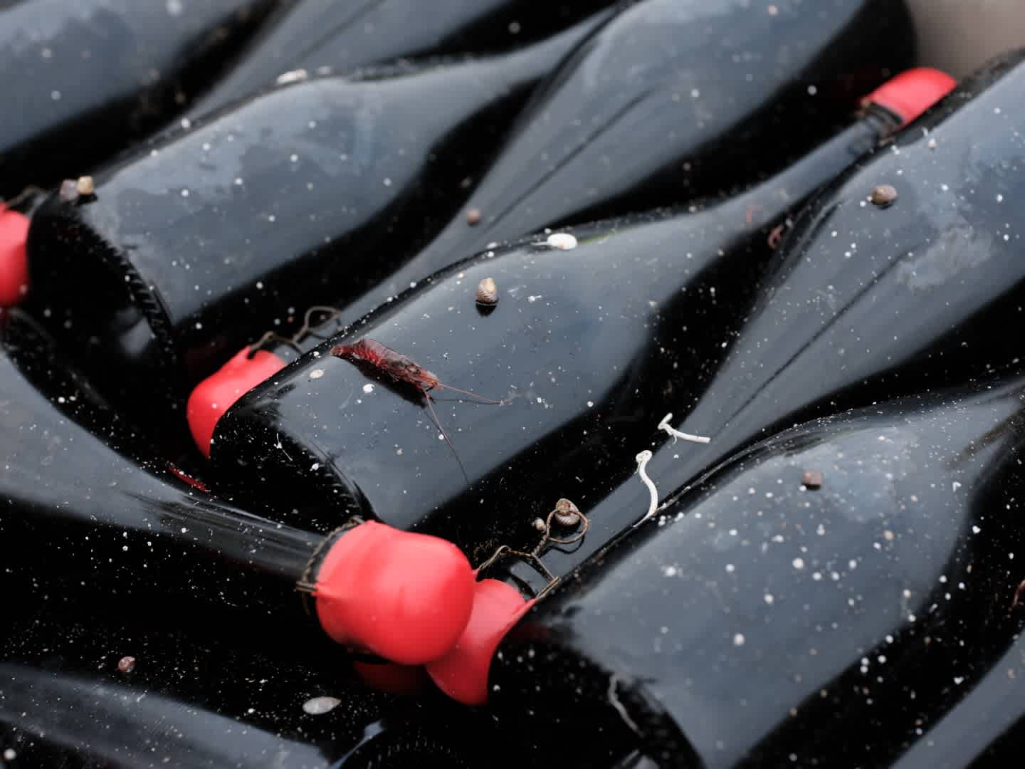 Hurtigruten Recovers Arctic-Aged Barolo for Norwegian Coast Ships