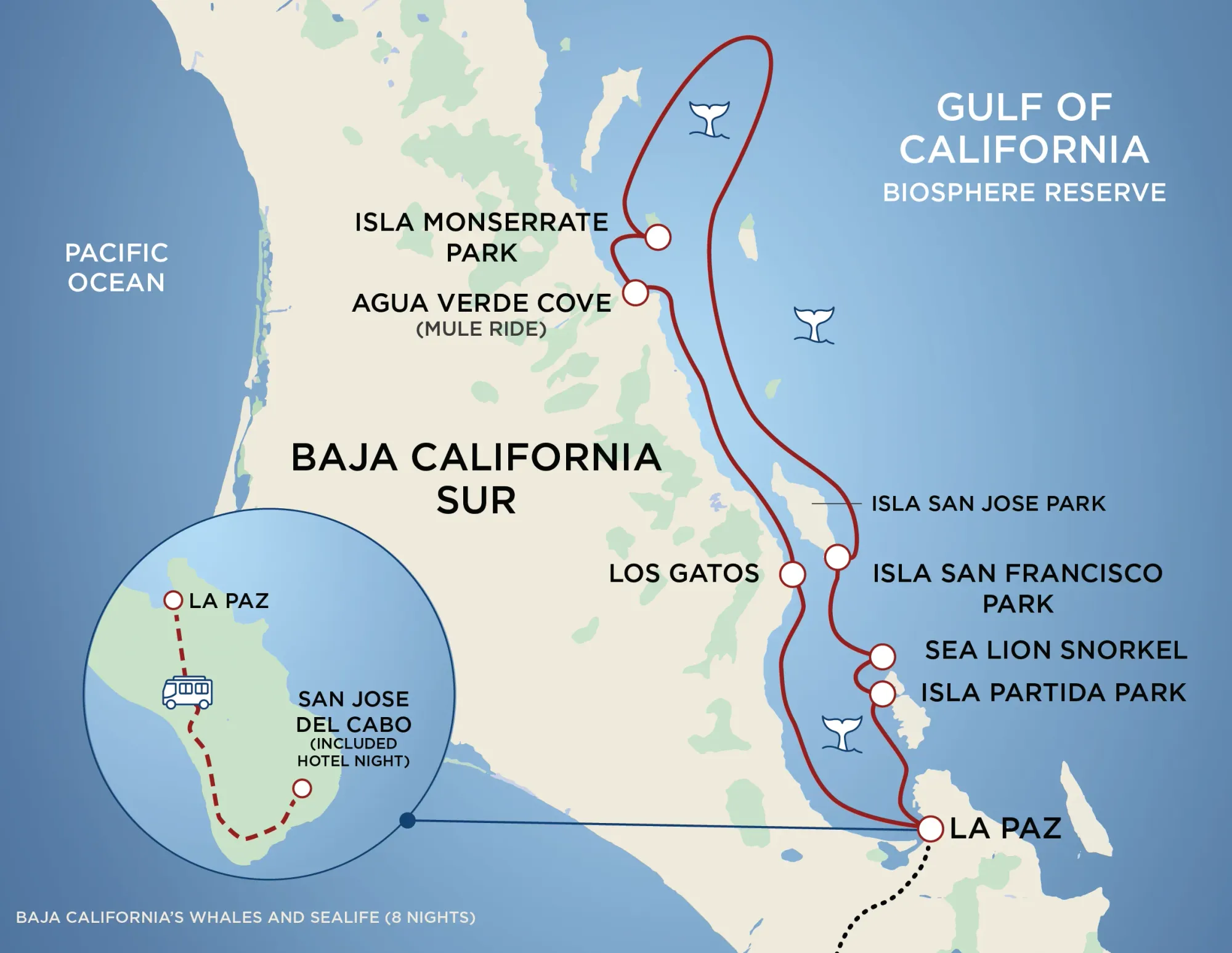 UnCruise Opens 2027-28 Baja Sailings With Local Suppliers