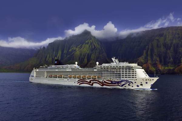 Norwegian Cruise Line Debt Reduction and Fleet Growth
