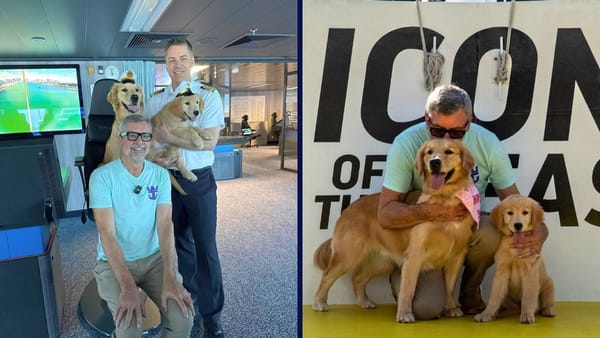 Sailor the Golden Retriever Joins Star of the Seas as Chief Dog Officer