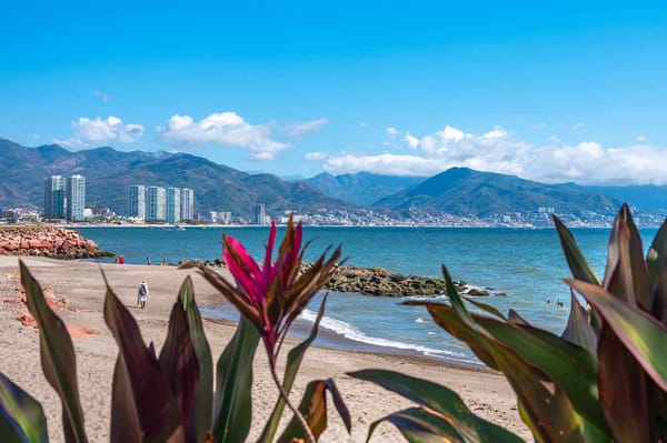 Major Cruise Lines Skip Puerto Vallarta After Jalisco Violence