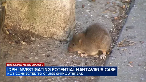 Illinois Probes Potential Hantavirus Case Tied to Rodent Droppings