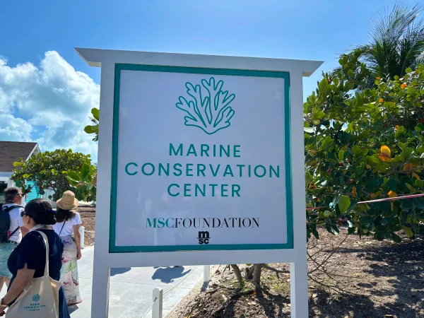 MSC Foundation Grows Over 600 Corals at Ocean Cay Center