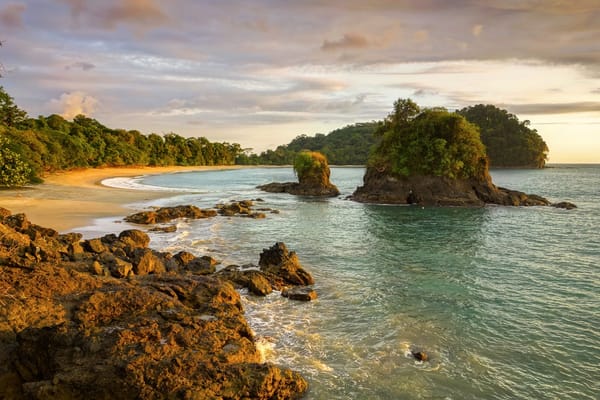 Ponant Adds 15 Smithsonian Journeys Voyages for 2028