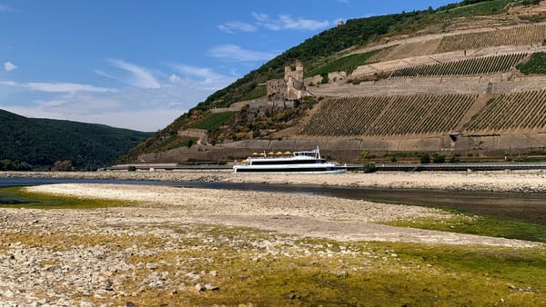 Low Danube and Rhine Water Disrupts Peak River Cruise Season