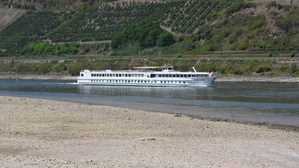 Low Water Still Disrupts European River Cruises Despite Rain