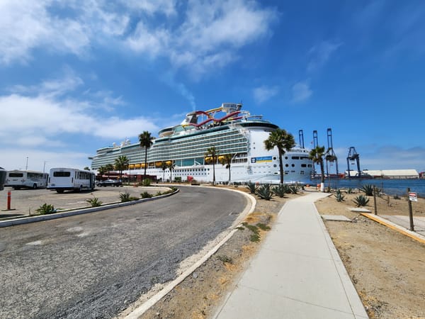 Royal Caribbean Settles Lawsuit Over Michael Virgil’s Death