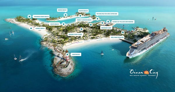 Ocean Cay Nursery Corals Show 100% Survival in 2023 Heatwave