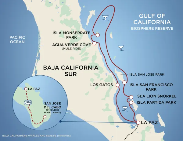UnCruise Opens 2027-28 Baja Sailings With Local Suppliers