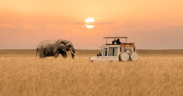 Atlas Adds Seven Africa Land Programs for Adventurer's 2029 Season