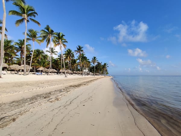 Port Samana to Open With MSC Opera in November 2026