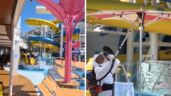 Beekeepers Remove Bee Swarm From Utopia of the Seas Pool Deck
